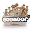 100% Mycelium Magic Mushroom Growkit Ecuador