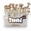 100% Mycelium Magic Mushroom Growkit Thai