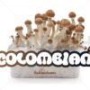 100% Mycelium Magic Mushroom Growkit Colombian
