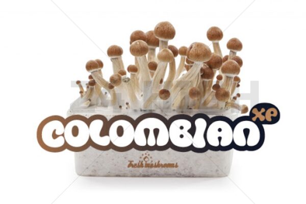 100% Mycelium Magic Mushroom Growkit Colombian