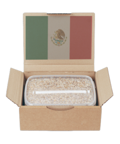 Grow Kit Mexican